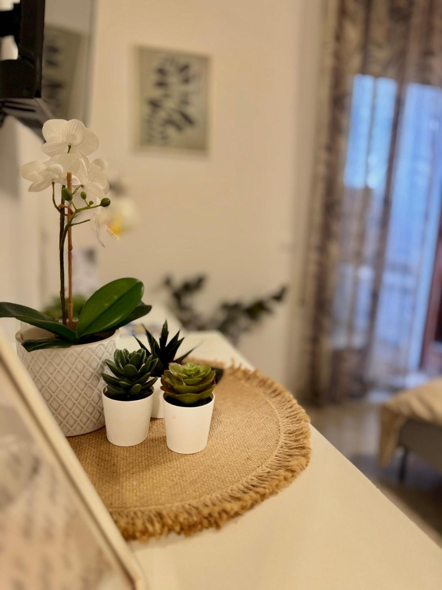 Fiore Di Marte 马尔萨拉 外观 照片